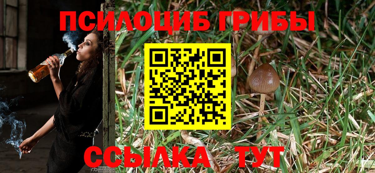 Сергиев Посад  Галлюциногенные грибы Magic Shrooms  Псилоцибиновые грибы Cubensis  Вход с VPN 